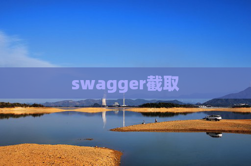swagger截取
